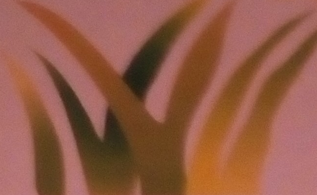Large c5083b2e f426 4e91 9fe7 3831b5d4139d