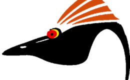 Regular 908f64c2 8a81 47a3 b262 b7a803613560