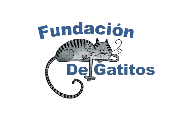 Large ef9ba54c 67ea 49c8 91eb 70a99aefc204